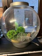 Aquarium biOrb, Dieren en Toebehoren, Ophalen, Gebruikt