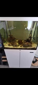 Aquarium complet juwel, Dieren en Toebehoren, Vissen | Aquaria en Toebehoren, Ophalen of Verzenden, Gebruikt, Gevuld zoetwateraquarium