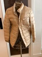 Prachtige vest nieuw!, Enlèvement ou Envoi, Comme neuf