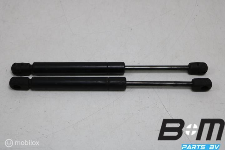 Set gasdrukveren motorkap Audi TT 8N Coupe 8N0823359, Gebruikt