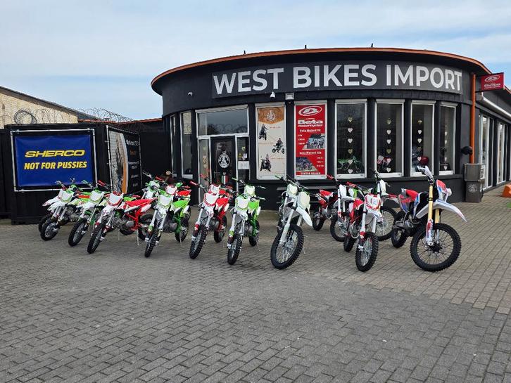 Apollo Thunder Pitbikes 125cc | Économisez jusqu'à 300 euros, Vélos & Vélomoteurs, Mini Bikes, Midi Bikes & Pit Bikes, Neuf, Pit Bike