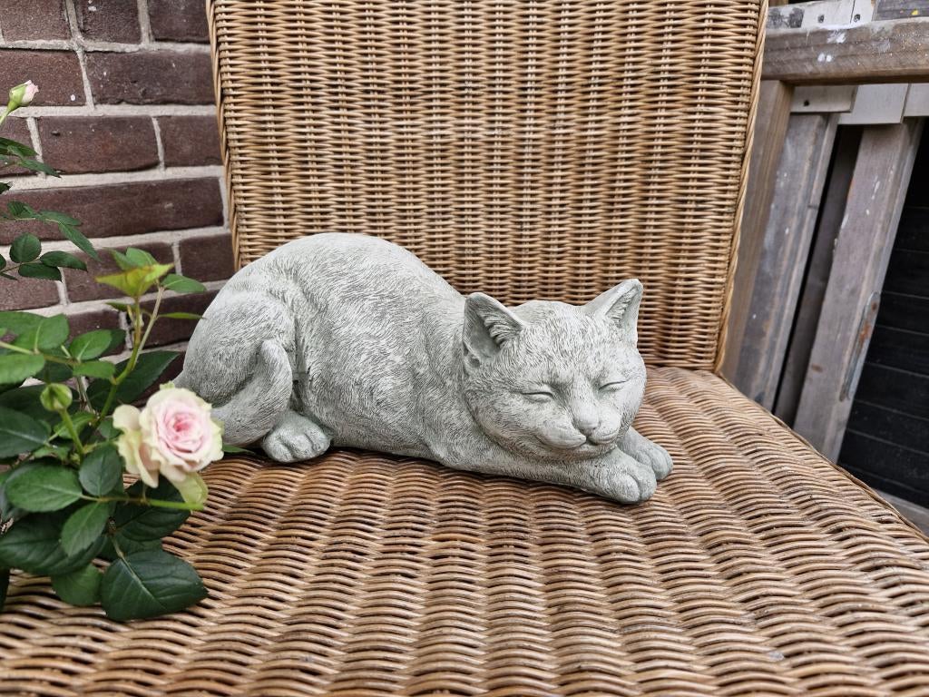 poes van beton , tuinbeeld, Tuin en Terras, Tuinbeelden, Nieuw, Beton, Ophalen of Verzenden