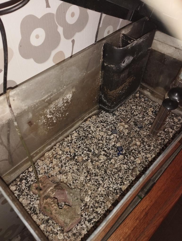 Aquarium, Animaux & Accessoires, Enlèvement, Chauffage, Utilisé, Gravier, Sable ou Substrat