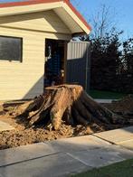 bois de chauffage, Jardin & Terrasse, Bois de chauffage, 3 à 6 m³, Enlèvement, Chêne, Troncs d'arbres