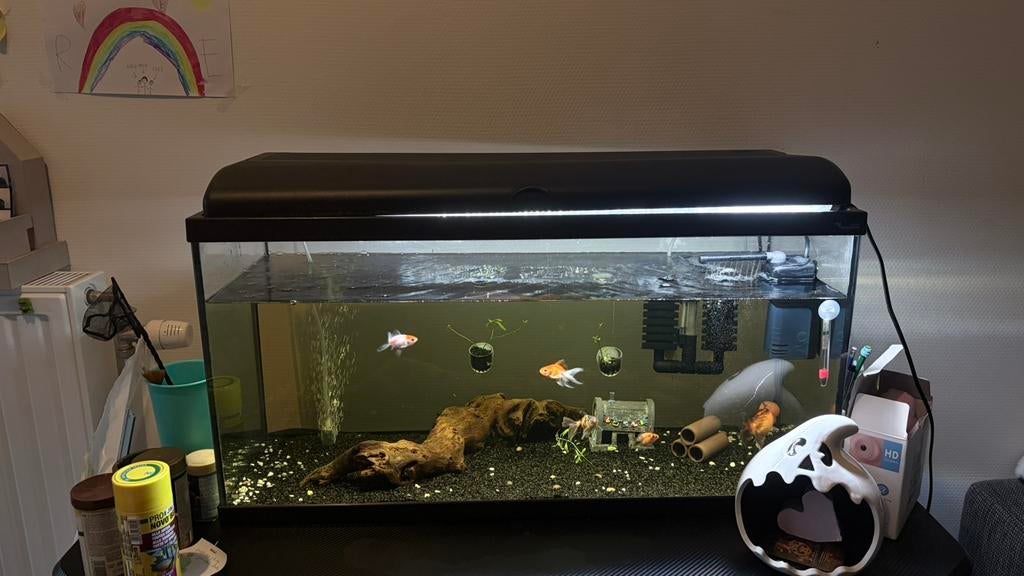 Aquarium te koop, Dieren en Toebehoren, Ophalen, Decoratie, Inclusief toebehoren, Aquatlantis