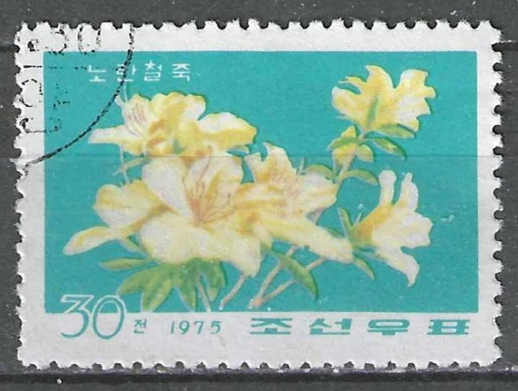 Noord-Korea 1975 - Yvert 1340 - Azalea - 30 ch. (ST), Verzenden, Gestempeld