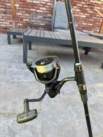 Lot de 2 canne a peche 10 et 12 pied, Enlèvement