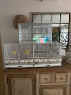 Cages d'élevage/cages grillagées