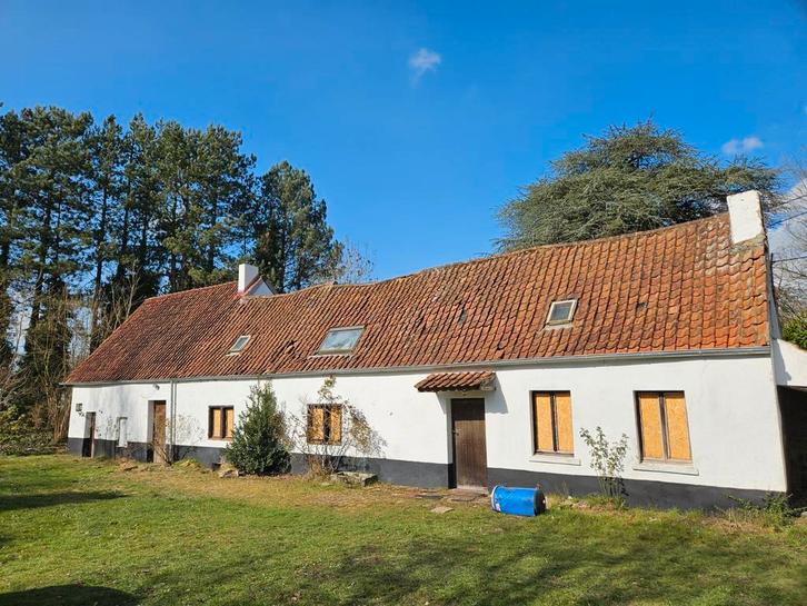 Tuiles anciennes, Bricolage & Construction, Tuiles & Revêtements de toit, Utilisé, Tuiles, Pierre ou Argile, Rouge, 15 m² ou plus