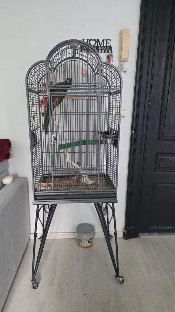 Cage pour perroquet moyens, Animaux & Accessoires, Oiseaux | Cages & Volières, Enlèvement