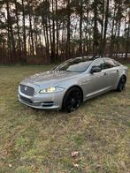 Gamme Jaguar XJ, Autos, Cuir, Euro 5, Achat, Entreprise