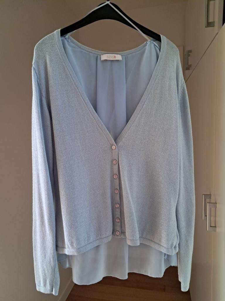 Zomers gilet met speciale rugzijde, maat 42, Kleding | Dames, Truien en Vesten, Blauw, Senso, Maat 42/44 (L), Ophalen of Verzenden