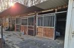 Box chevaux a vendre
