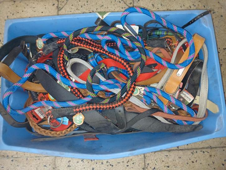 honden leibanden drinkbaken producten, Dieren en Toebehoren, Hondenhalsbanden en Penningen, Nieuw, Ophalen