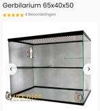 Glazen gerbilkooi met inrichting, Overige typen, Minder dan 75 cm, Zo goed als nieuw, Ophalen