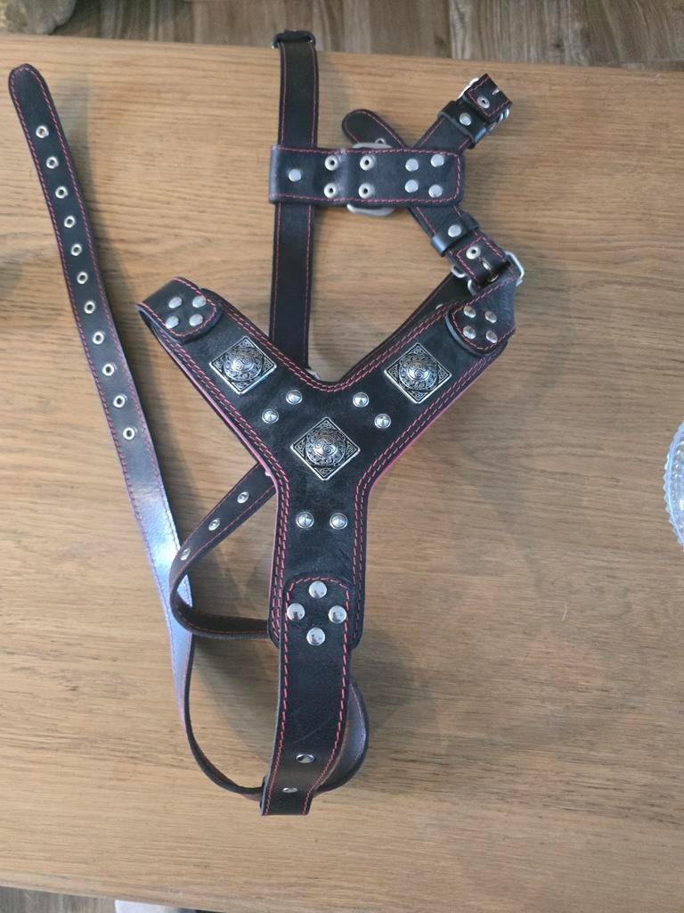 Harnais cuir bestiacollar xxl -50%, Animaux & Accessoires