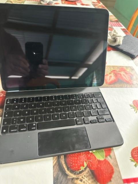 iPad Air 5ème génération, Informatique & Logiciels, Apple iPad Tablettes, Gris, Apple iPad Air, Enlèvement, Utilisé