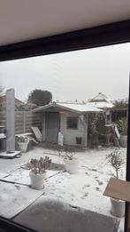 Tuinhuis, Tuin en Terras, Ophalen, Tuinhuis, 1 raam, 250 tot 300 cm