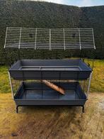 Knaagdieren, Dieren en Toebehoren, Ophalen, Gebruikt, Hok