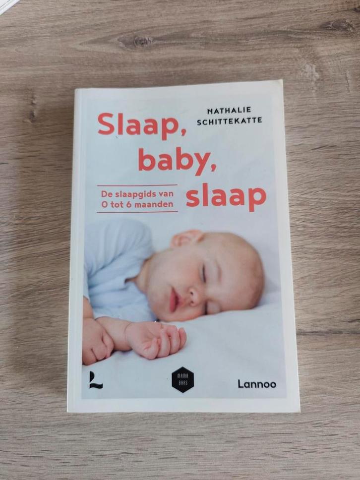 Boek ' Slaap, baby, slaap' - Nathalie Schittekatte, Boeken, Zwangerschap en Opvoeding, Zo goed als nieuw, Ophalen