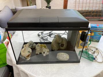 aquarium beschikbaar voor biedingen