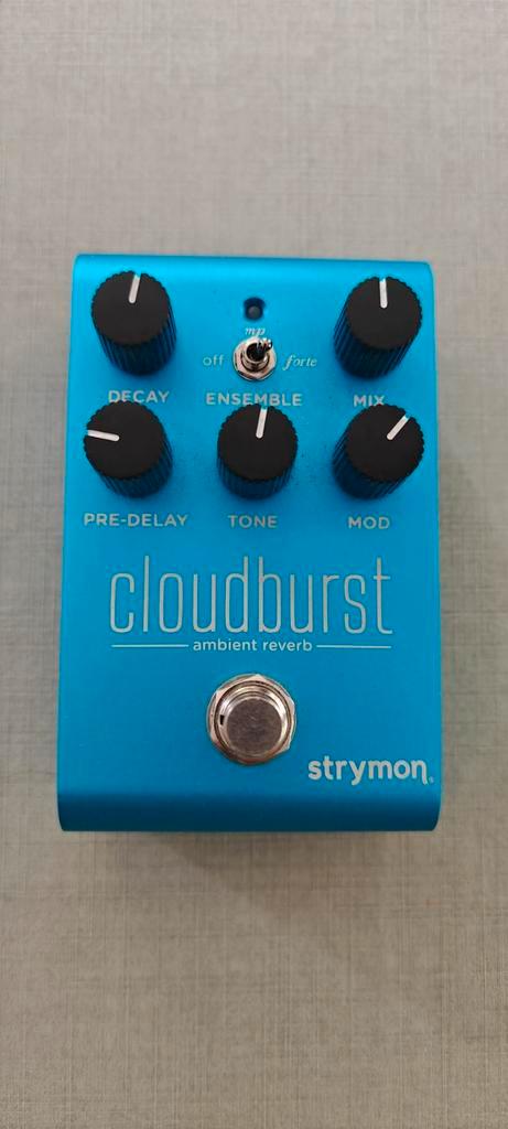 Strymon Cloudburst, Muziek en Instrumenten, Effecten, Zo goed als nieuw, Reverb, Ophalen of Verzenden