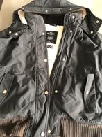 Winterjas Hollister maat L, Kleding | Dames, Ophalen of Verzenden, Zo goed als nieuw, Maat 42/44 (L), Zwart