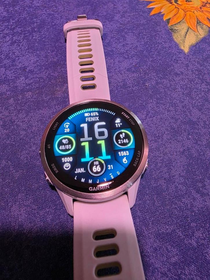Garmin Forerunner 970 , 47mm, Bijoux, Sacs & Beauté, Montres connectées, État, Enlèvement