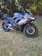 Kawasaki ninja 650, Particulier