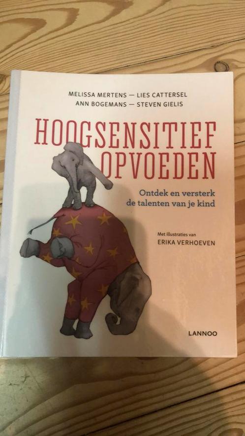Lies Cattersel - Hoogsensitief opvoeden, Boeken, Zwangerschap en Opvoeding, Ophalen