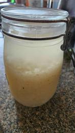 Kéfir de fruit et/ou scoby de kombucha a donner., Ophalen