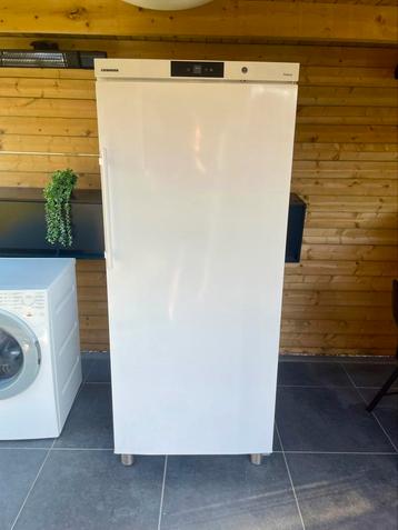 Horeca vriezer liebherr profiline, Elektronische apparatuur, Vriezers en Diepvrieskisten, Ophalen of Verzenden, Zo goed als nieuw