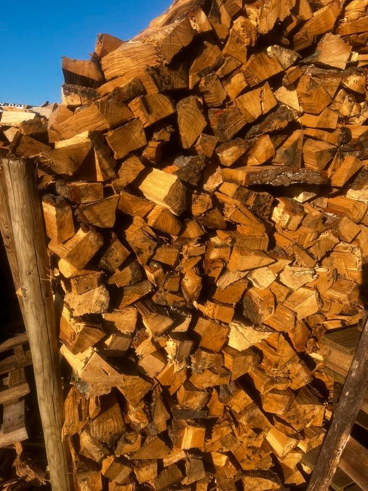 Hoogwaardig Droog & Halfdroog Brandhout, Tuin en Terras, Brandhout, Beukenhout, Ophalen of Verzenden