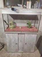 Aquarium aquatlantis met meubel, Dieren en Toebehoren, Vissen | Aquaria en Toebehoren, Ophalen, Zo goed als nieuw