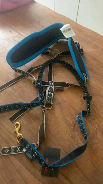 Canicrosse harnet om met je hond te rennen beschikbaar voor biedingen