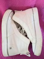 All stars 🎀 van Gstar RAW - maat 40 -> 5€, Ophalen, Wit, Zo goed als nieuw, G-star Raw