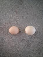 Voor de verzamelaars, 2 superkleine eitjes van leghennen., Dieren en Toebehoren, Pluimvee