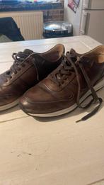 van Bommel mt 43, Kleding | Heren, Schoenen, Ophalen, Gedragen