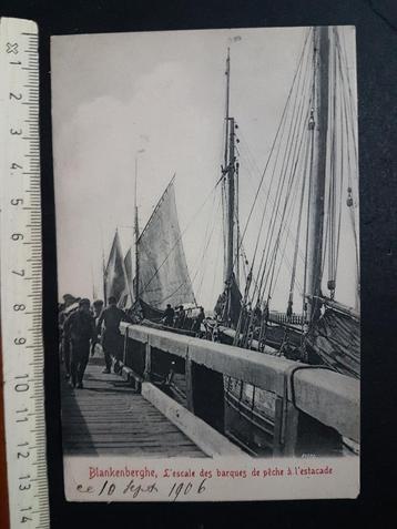 Postkaart Blankenberge Vissersboot Barques de pêche Pêcheur disponible aux enchères