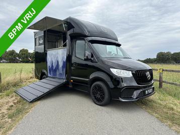 Mercedes-Benz Sprinter 315 AMG 2-paards paardenvrachtwagen B beschikbaar voor biedingen