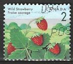 Canada 1992 - Yvert 1263 - Wilde bessen - Aardbeien (ST), Postzegels en Munten, Postzegels | Amerika, Verzenden