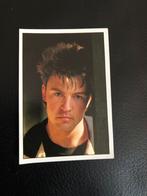 Sticker Panini collection Paul Young, Verzamelen, Ophalen of Verzenden, Nieuw, Film, Tv of Omroep