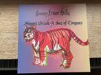 Bonnie Prince Billy : singers grave , a sea of tongues, Ophalen of Verzenden, Zo goed als nieuw, 12 inch, Singer-songwriter