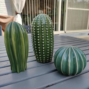 Cactus porseleinen beeldjes 3 stuks  beschikbaar voor biedingen