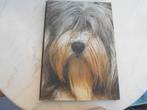 livre Artis Le chien ,le meilleur ami de l'homme, Boeken, Dieren en Huisdieren, Ophalen of Verzenden, Gelezen, Honden