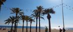 Vakantieapp. Benidorm 1-4p + zwembad -> Actie:1/7/24-3/8/24, Vakantie, Appartement, 2 slaapkamers, Aan zee, Costa Blanca