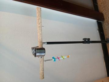 Zitstok voor parkiet, valkparkiet of kleine papegaai  beschikbaar voor biedingen