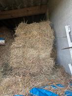 kleine botjes hooi, Dieren en Toebehoren, Ophalen, Vee