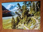Postkaart Zwitserland Rosegtal 19463, Verzamelen, Ophalen of Verzenden