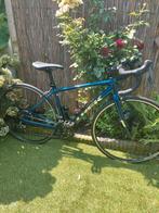 Koersfiets trek maat 50, Fietsen en Brommers, Ophalen